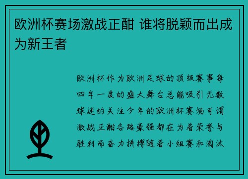 欧洲杯赛场激战正酣 谁将脱颖而出成为新王者