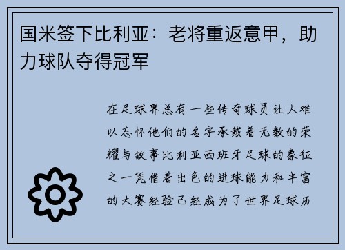 国米签下比利亚：老将重返意甲，助力球队夺得冠军
