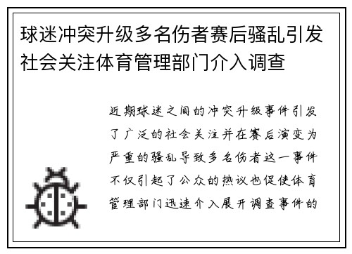 球迷冲突升级多名伤者赛后骚乱引发社会关注体育管理部门介入调查